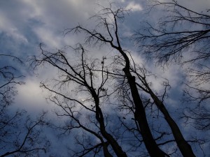 1280208-300×225