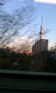20120201-162445-180×300