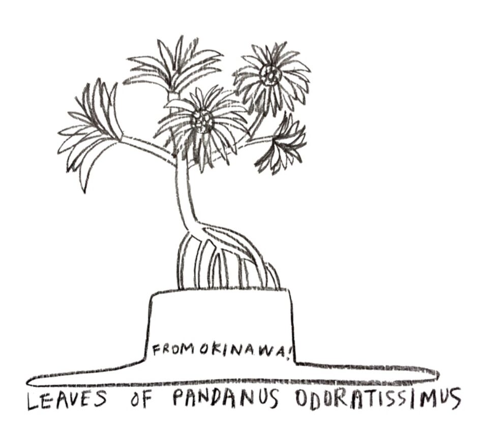 アダン葉帽子展